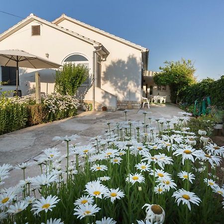 Cozy Apartment Josipa Privlaka  Εξωτερικό φωτογραφία