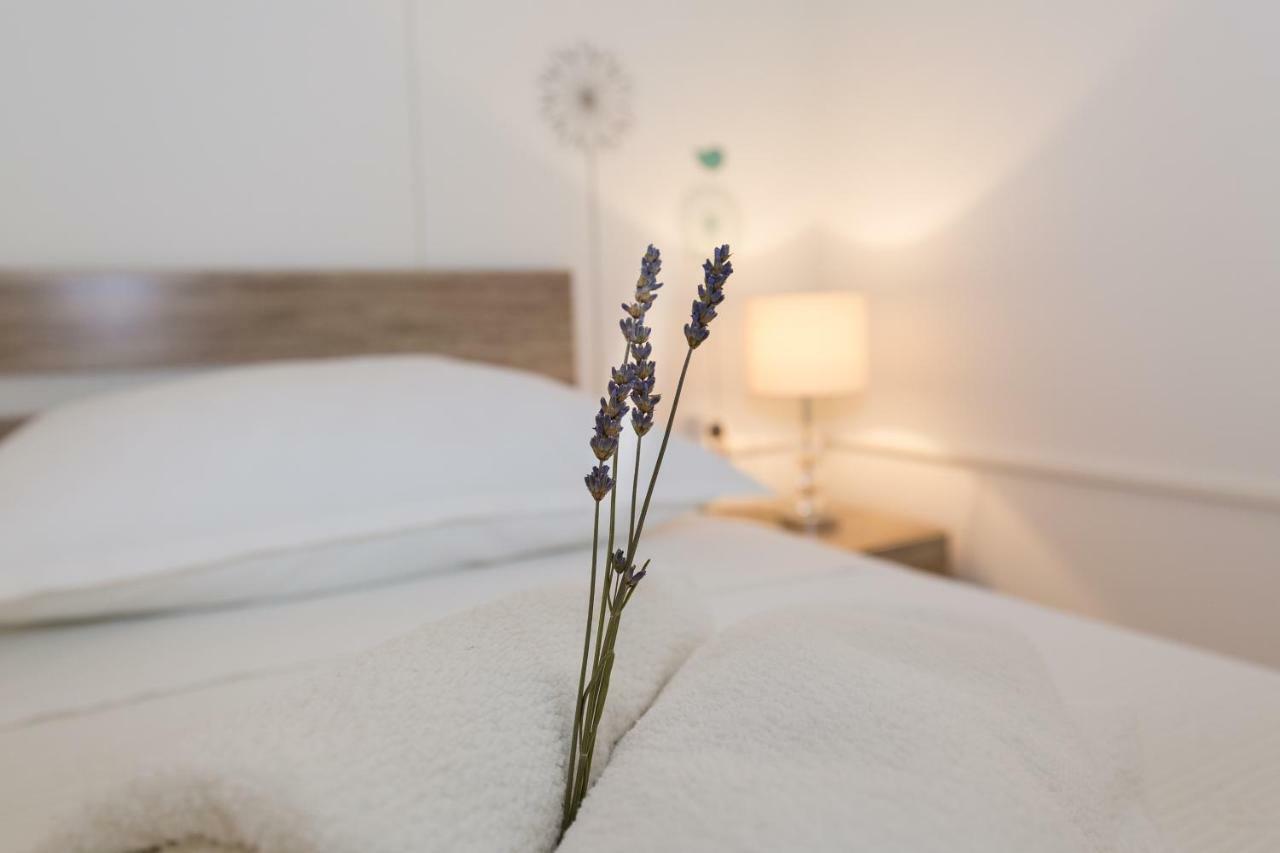 Cozy Apartment Josipa Privlaka  Εξωτερικό φωτογραφία